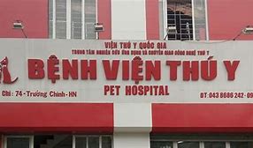 Bệnh Viện Thú Ý Trường Chinh