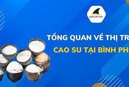 Giá Mủ Cao Su Bình Phước 2020