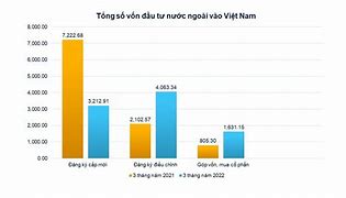 Người Nước Ngoài Đầu Tư Tại Việt Nam