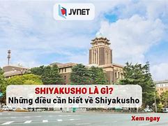 Shiyakusho Có Làm Việc Thứ 7 Không