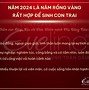 Tuổi Tuất Có Nên Sinh Con Năm 2024